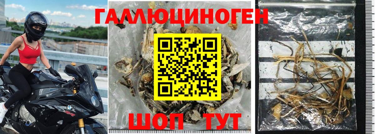 Галлюциногенные грибы GOLDEN TEACHER Тверь